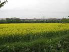 Industry and Agriculture - via Daymix