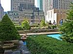 Secret Rooftop Garden | New York Daily Photo