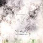 Vitalic « Replicante68's Blog