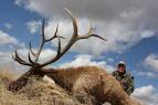 The Taxidermy Sh
op » Blog Arc ...