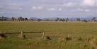 queensland farming land - via Daymix