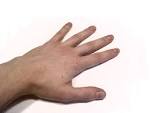 File:Human Hand.jpg - Wikipedia, the free encyclopedia