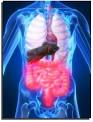 Gastrointestinal Disease