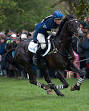 Zara Phillips Picture 0
