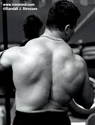 images?q=tbn:ANd9GcSoRcW2Qo4EZdPlgEuWqiQgwYIeatemvYG-UmONA-ZZAonTL5zC-Q