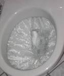 File:<b>Flushing</b> toilet.jpg