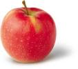 NY Apple Country Jonagold Apple