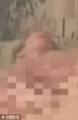 delfanti isabel jackson sex tape