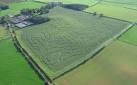 NY4441 : Hay Close Farm Maize - via Daymix