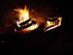 Hot dogs on campfire free - via Daymix