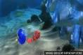 Gifs-from-Gifsoup-com-finding- ...