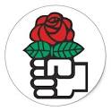 Democratic Socialism (the fist and rose symbol) Sticker from Zazzle.