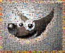 The GIMP: The GNU Image Manupulation Program