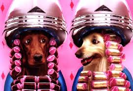 images?qtbnANd9GcSpDLCiUr6EWYxeSctJlgBlXGnuUE2Q04z7 eQqQG5u7 GwUjTMKA