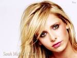 http://2.bp.blogspot.com/-2NKow1E5lvA/Taym7Dnm1xI/AAAAAAAAAMs/KZygjksaeIE/s1600/sarah_michelle_gellar_36.jpg