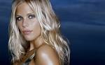 Elin Nordegren Wallpaper Image