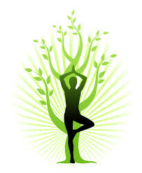  Dynamic Power Yoga Classes   All Abilities