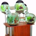Fish Metropolis | 10 Crazy Aquariums | This Old House
