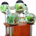 Fish Metropolis | 10 Crazy Aquariums | This Old House