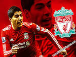 Luis Suarez has restored Liverpool FC faith | 9cric