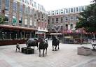 "The Jersey Cow - via Daymix