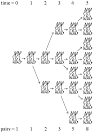 Fibonacci Numbers