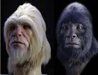 Bringing Sasquatch Home