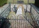 John "Johnny Appleseed" Chapman (1774 - 1845) - Find A Grave Memorial