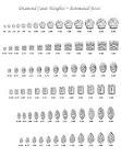 Diamond Carat | Learn About Carat Weight of Diamonds| Carats
