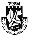 irgun zvai leumi