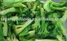 Frozen Broccoli Spear products,China Frozen Broccoli Spear supplier