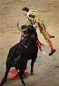 Bullfighter