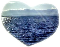 http://t3.gstatic.com/images?q=tbn:ANd9GcSqOP2Z6DhTby9UfV0EjoLM7KSxEsWfxZW72jTGaaGgODkCSltbXQ