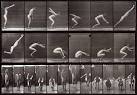 Charles A. Hartman Fine Art | Exhibition: Eadweard Muybridge ...
