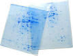 <b>gel electrophoresis</b>