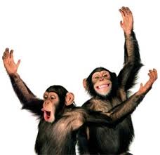 http://t3.gstatic.com/images?q=tbn:ANd9GcSrN7R61s4auU5PEVzJ35JJr3IQF_1R8LGwLb-ZDMKppbiRdkhX