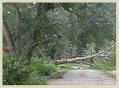 2010 Hurricane Season