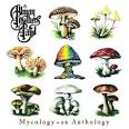 Amazon.com: Mycology: Anthology: Allman Brothers: Music