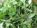 Recipe of the Week: Sweet Potato and ARUGULA Salad with Ginger ...