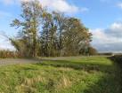 wind turbine blade reaches - via Daymix