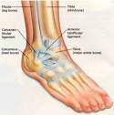 Marathon Me » Sore Ankles