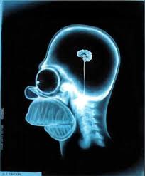 [Image: images?q=tbn:ANd9GcSsAdfxSyVruz5YuxI2IPq...IYNTehIcE=]
