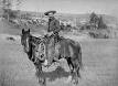 Cowboy - Wikipedia, the free encyclopedia
