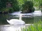 folklore and fairy tales. - via Daymix