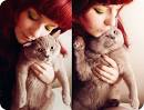 cat, chubby, cute, red hair, so cute, tom cat - inspiring picture on Favim. ... - cat-chubby-cute-red-hair-so-cute-tom-cat-Favim.com-49681_large