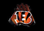 Nike News - Cincinnati BENGALS 2012 Nike Football Uniform