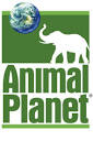 Animal Planet