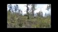 Batnuni Lake Guide & Outfitters - YouTube