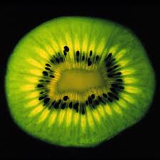 external image images?q=tbn:ANd9GcSstPVvOiEs_G2en1aK8v5bLaRth0AJgL8KI9Xb-spB6FyTs0-a