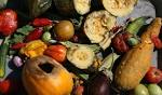 Food Scrap Composting - DavisRecycling.